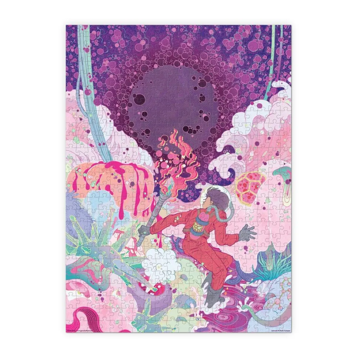 500-Piece Puzzles^Fred 500 PIECE PUZZLE: EXPLORER