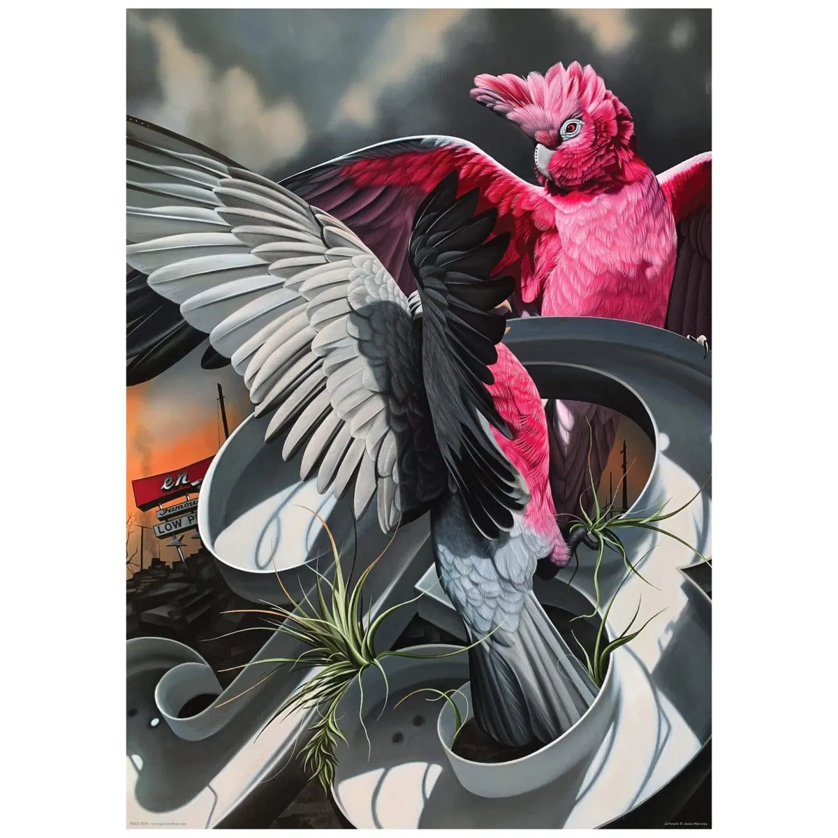 1000-Piece Puzzles^Fred 1000 PIECE PUZZLE: THE HOME OF FAMOUSLY LOW PRICES