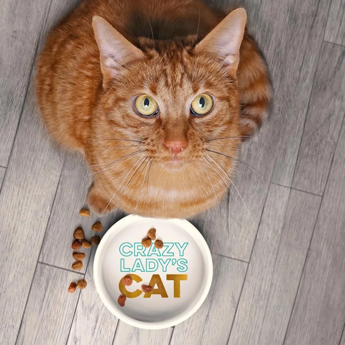 Cats|Shop All Table^Fred CERAMIC MUG + CAT BOWL SET