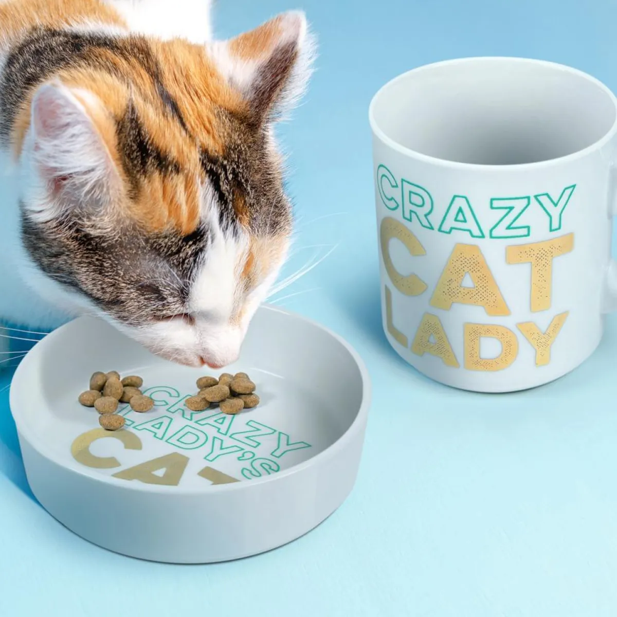 Cats|Shop All Table^Fred CERAMIC MUG + CAT BOWL SET