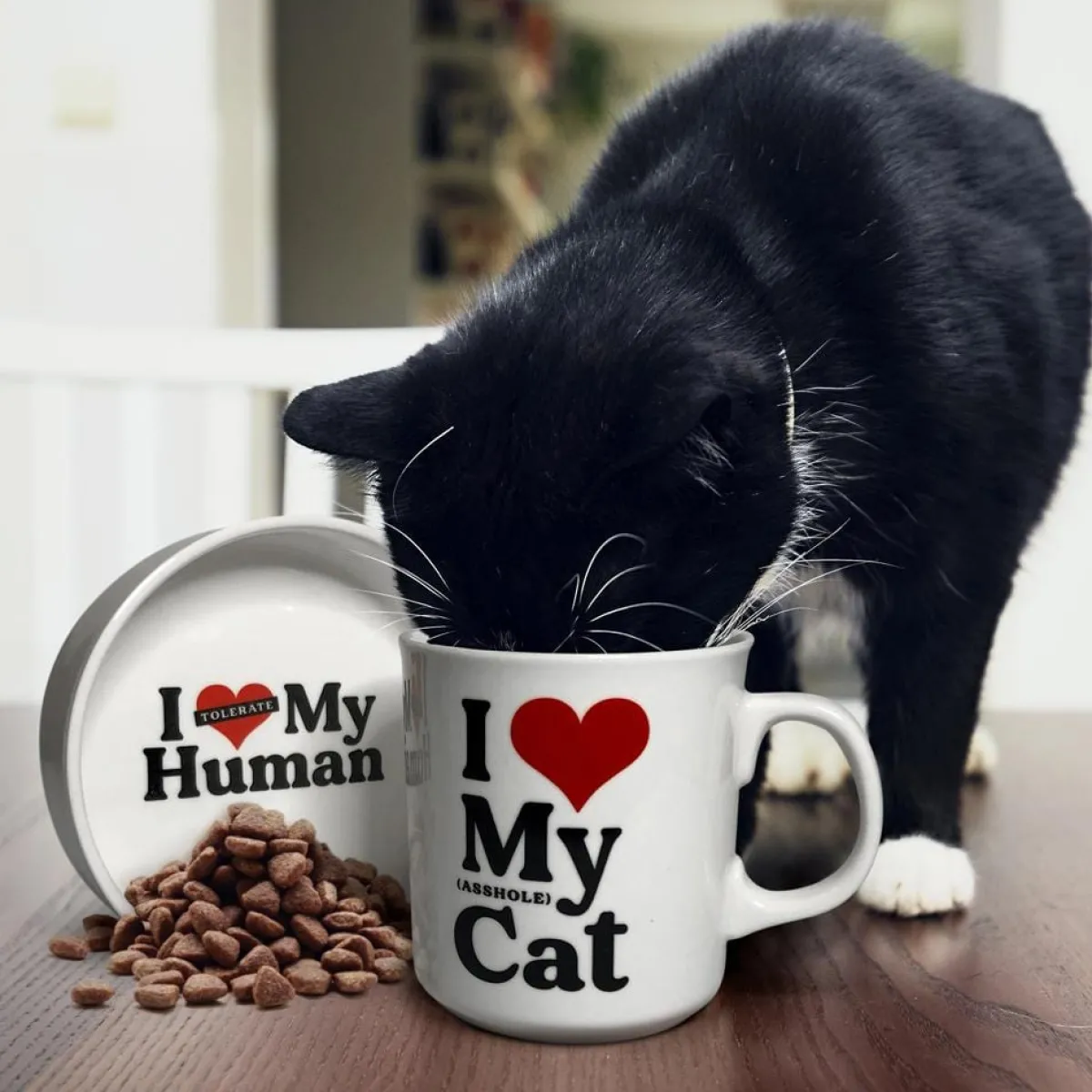 Cats|Shop All Table^Fred CERAMIC MUG + CAT BOWL SET