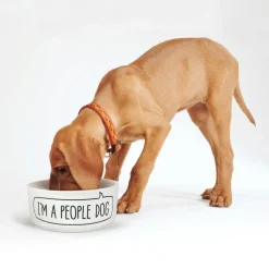 Dogs|Shop All Table^Fred CERAMIC MUG + DOG BOWL SET