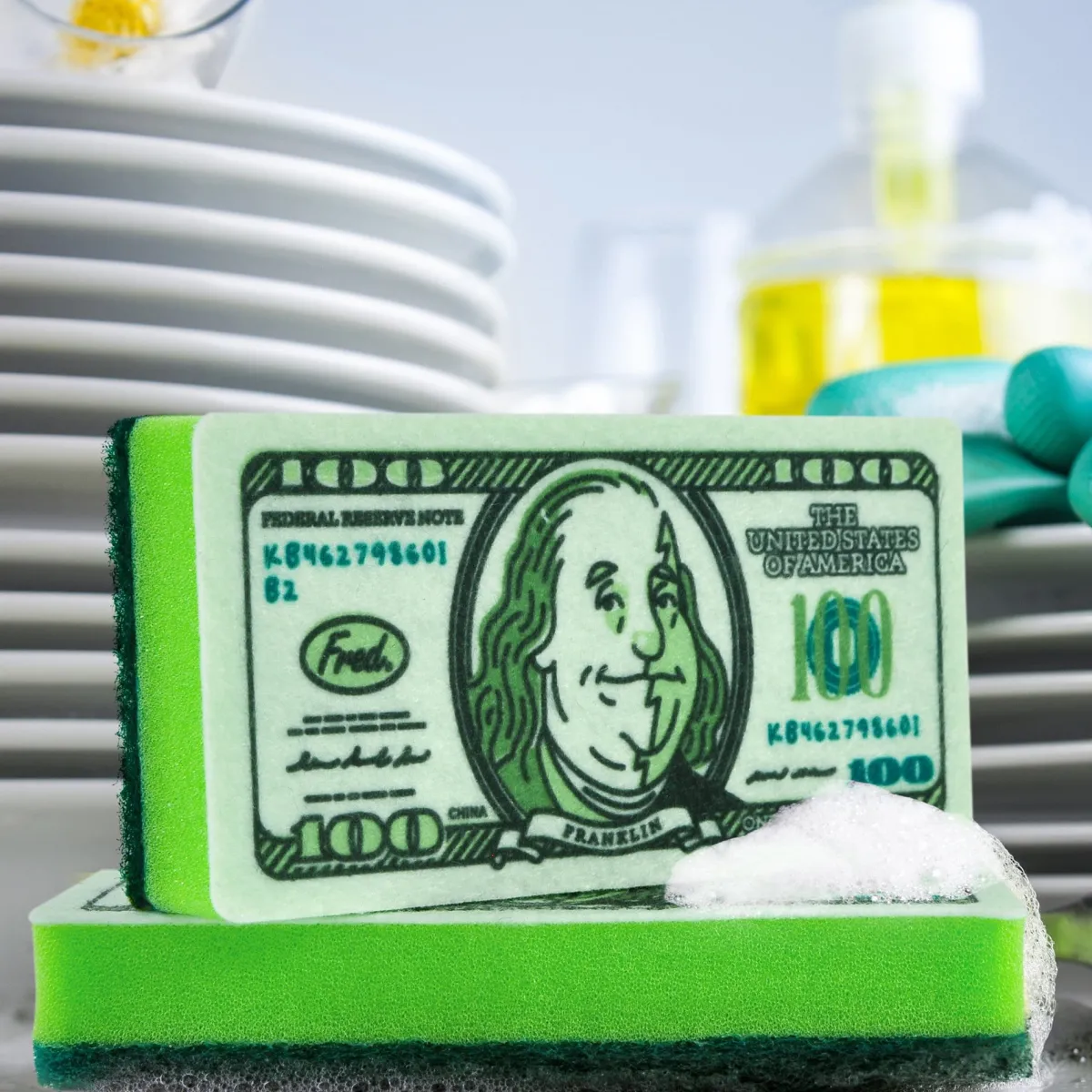 Cleaning|Sponges^Fred DIRTY MONEY