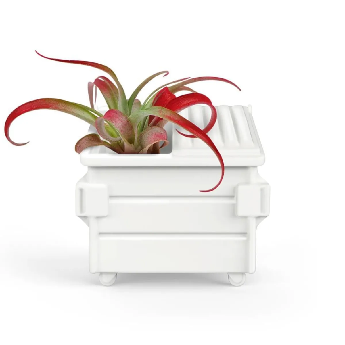 Garden^Fred FANCY PLANTS - Dumpster