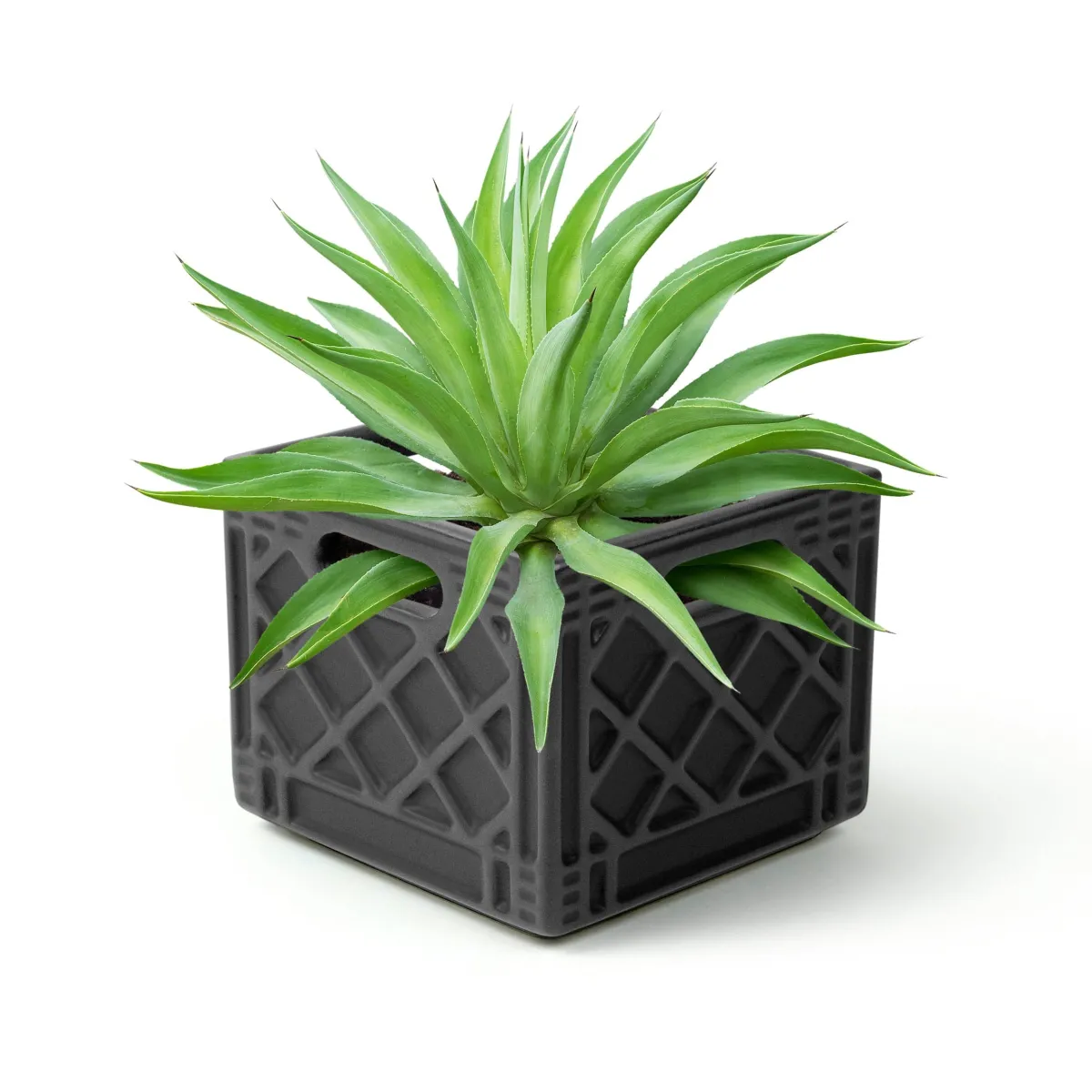 Garden^Fred FANCY PLANTS - Milk Crate