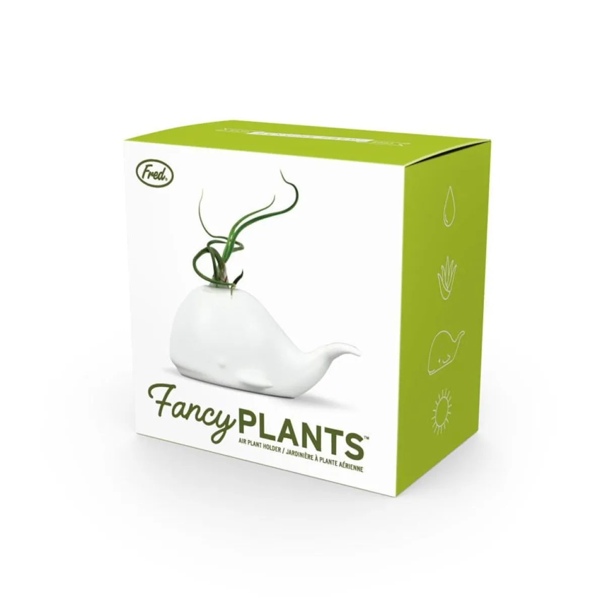 Garden^Fred FANCY PLANTS - Whale