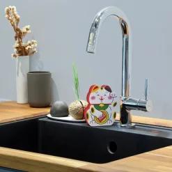 Cleaning|Sponges^Fred FELINE LUCKY