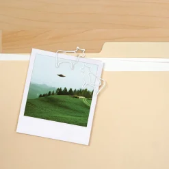 Clips + Pushpins + Magnets^Fred FILING SAUCER