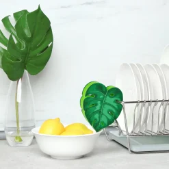 Cleaning|Sponges^Fred HOUSE PLANT