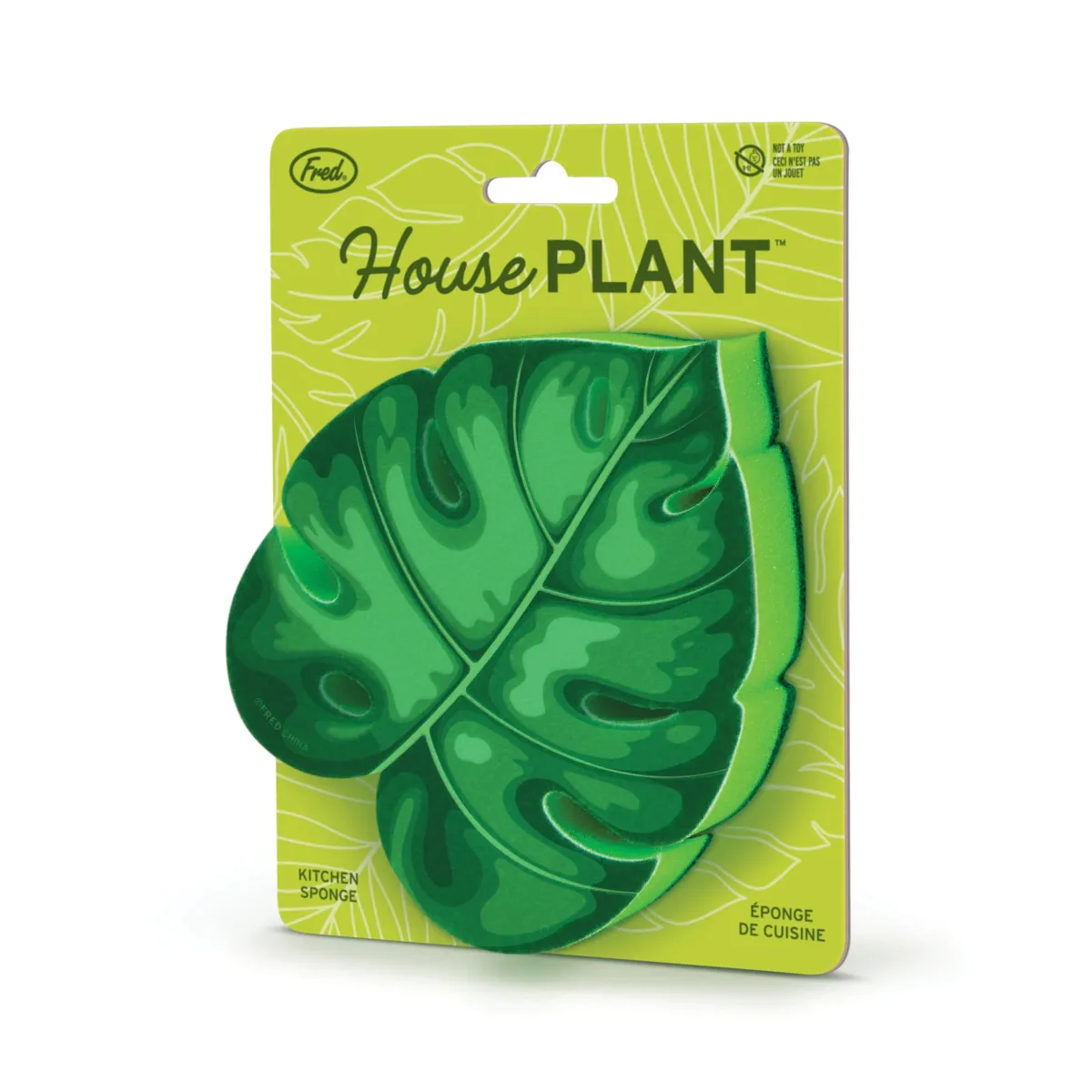 Cleaning|Sponges^Fred HOUSE PLANT