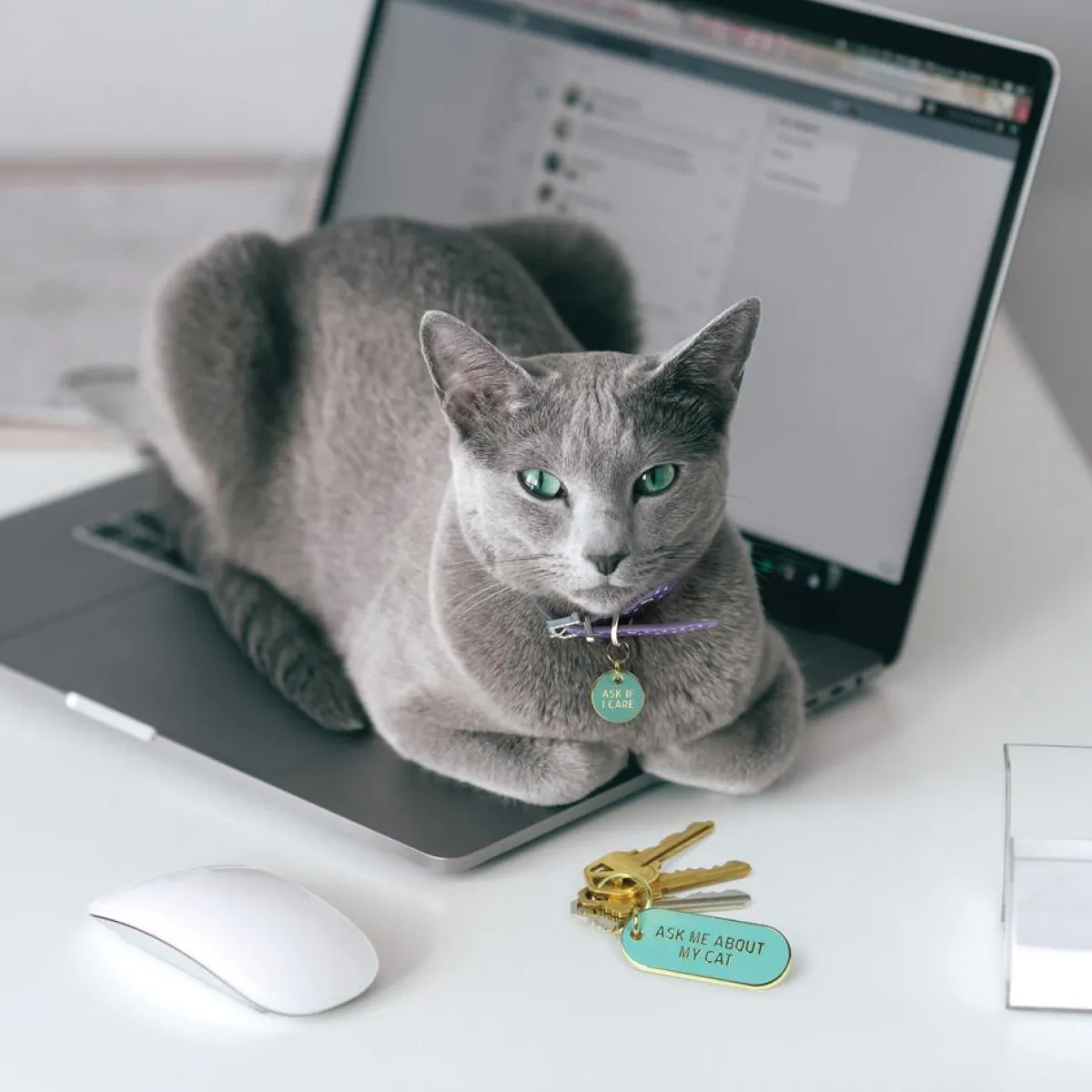 Cats^Fred KEYCHAIN + CAT TAG SET
