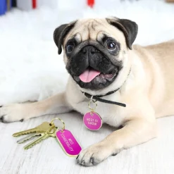 Dogs^Fred KEYCHAIN + DOG TAG SET