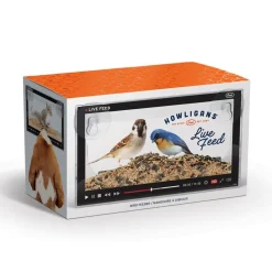 Dogs|Cats^Fred LIVE FEED