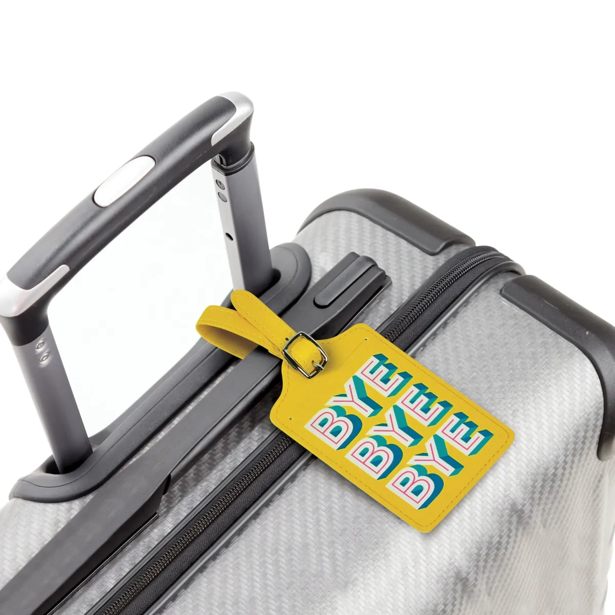Passports|Luggage Tags^Fred LUGGAGE TAG: BYE BYE BYE