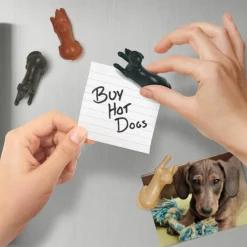 Clips + Pushpins + Magnets^Fred MAGNETIPUPS