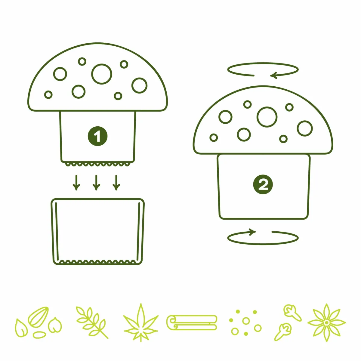 Cooking Utensils|Grinders^Fred MERRY MUSHROOM