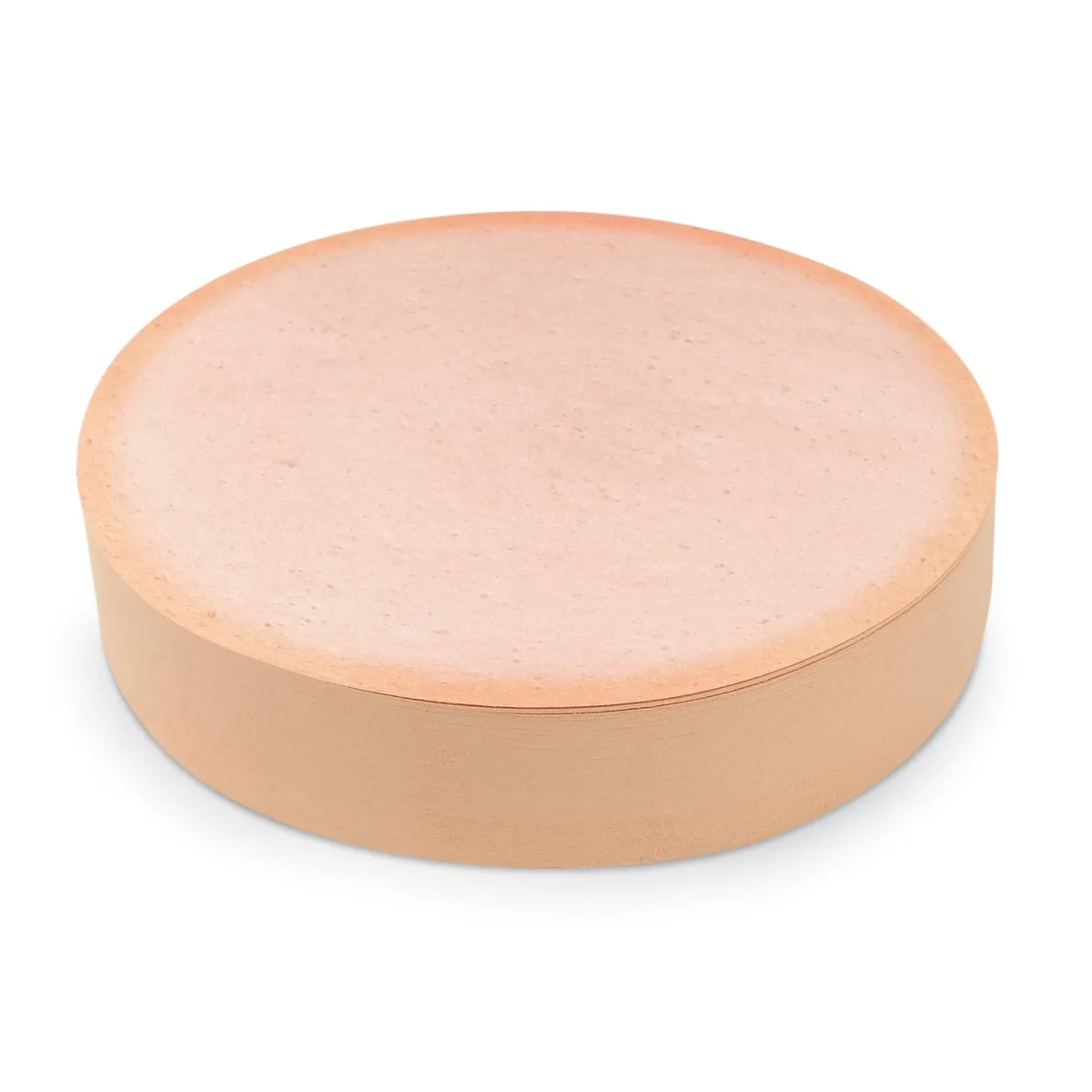 Notes + Paper^Fred PHONY BOLOGNA | Bologna Sticky Notes