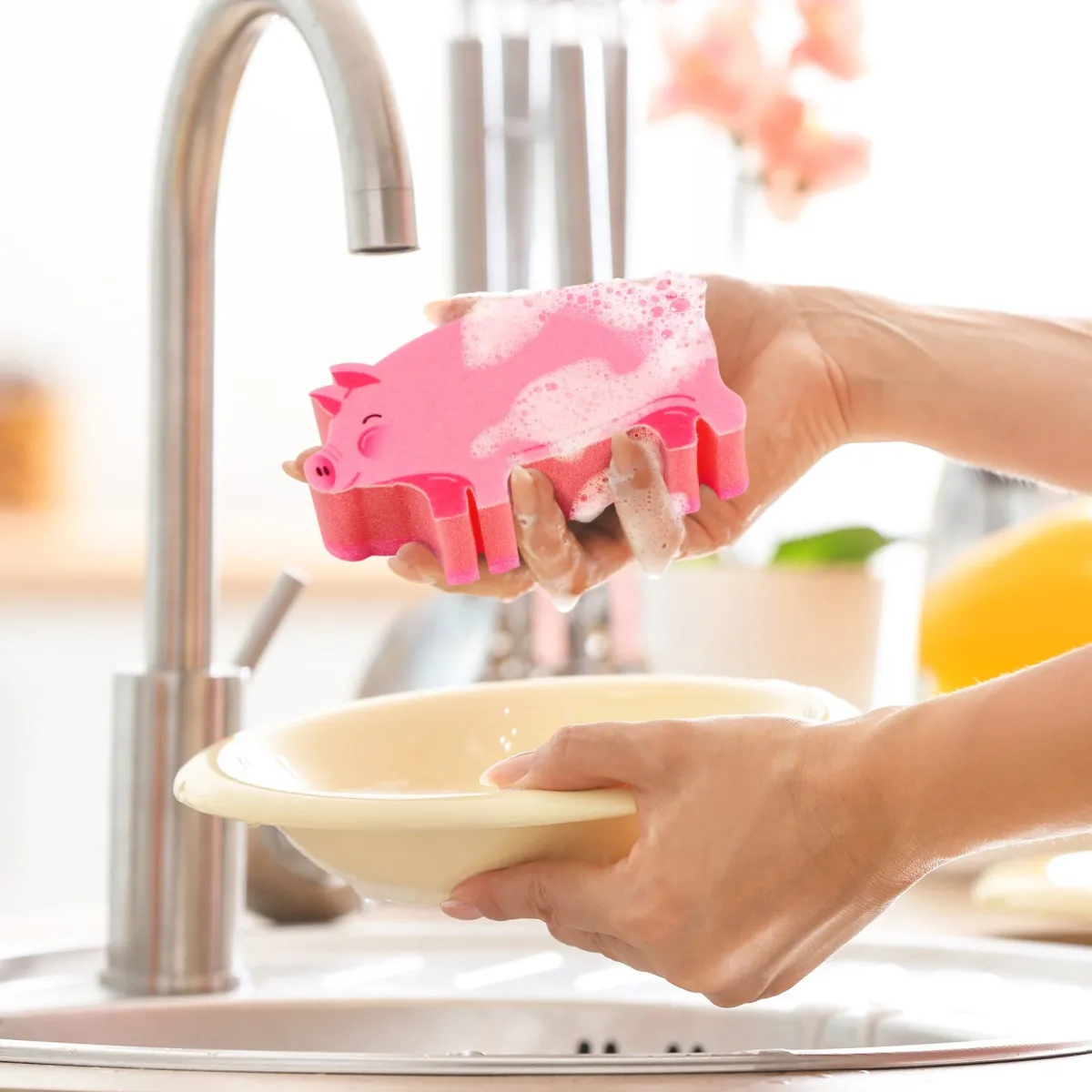 Cleaning|Sponges^Fred PIGSTY