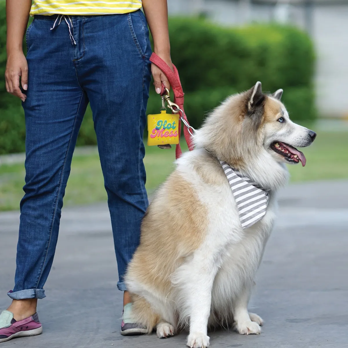 Dogs^Fred POOP BAG HOLDER: HOT MESS