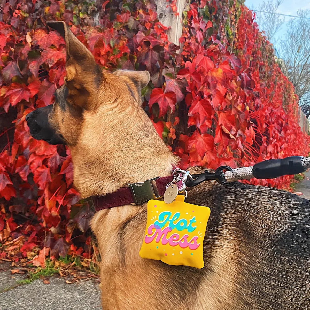 Dogs^Fred POOP BAG HOLDER: HOT MESS