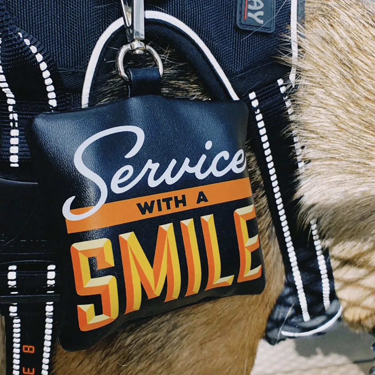 Dogs^Fred POOP BAG HOLDER: SERVICE WITH A SMILE