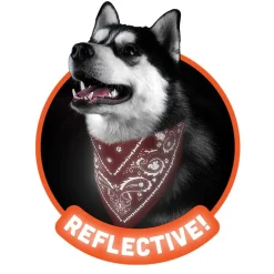 Dogs^Fred REFLECTIVE DOG BANDANAS