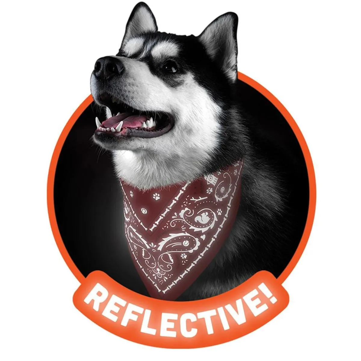 Dogs^Fred REFLECTIVE DOG BANDANAS
