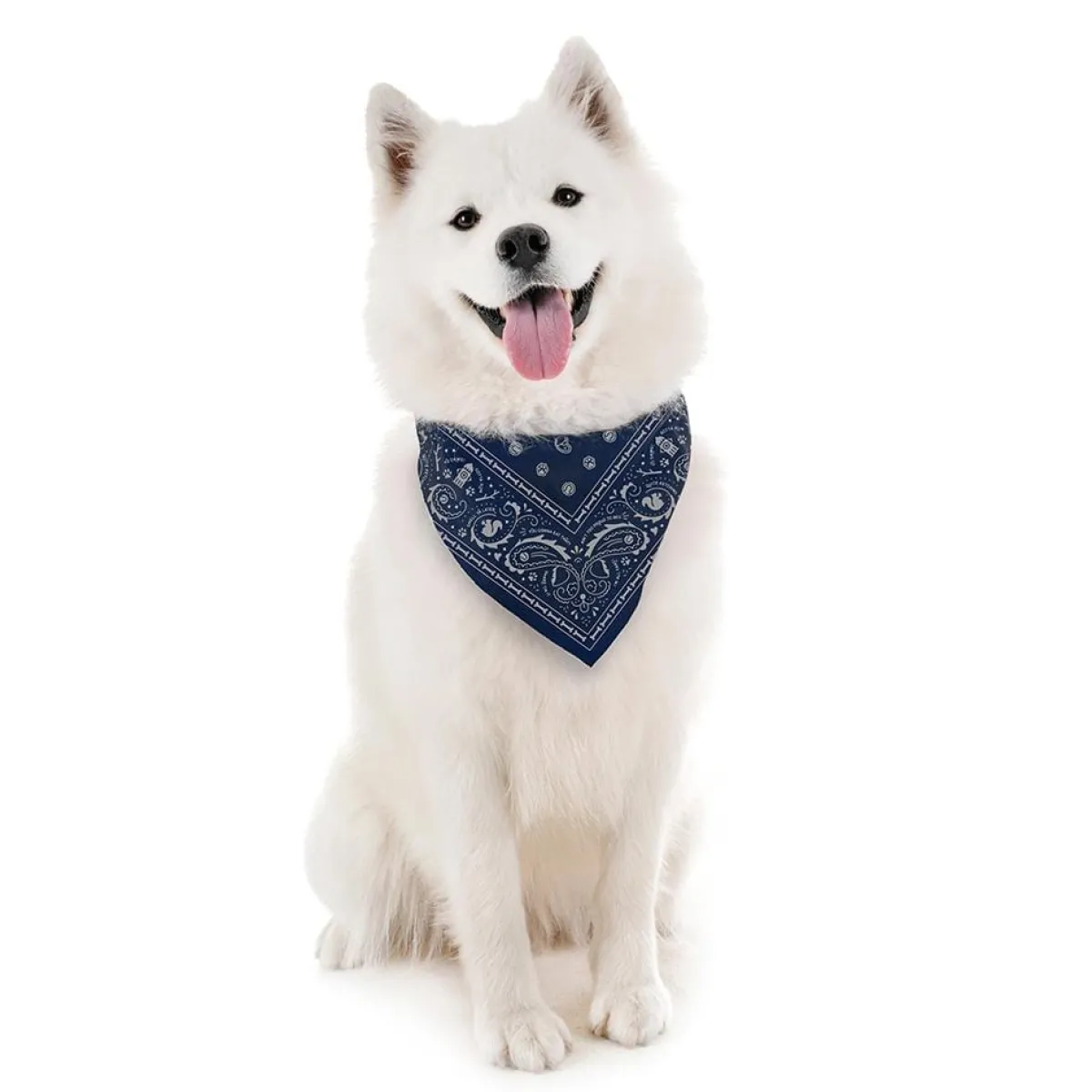 Dogs^Fred REFLECTIVE DOG BANDANAS