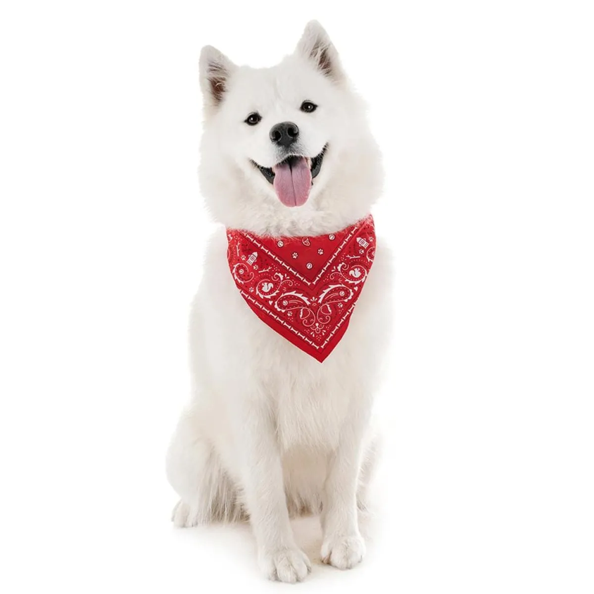 Dogs^Fred REFLECTIVE DOG BANDANAS