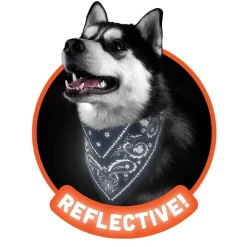 Dogs^Fred REFLECTIVE DOG BANDANAS
