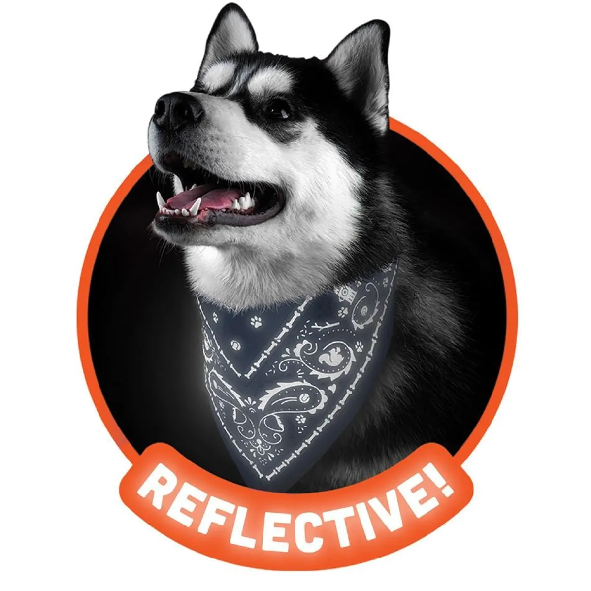 Dogs^Fred REFLECTIVE DOG BANDANAS