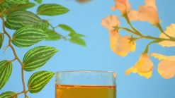 Shop All Table|Tea Infusers^Fred SLOW BREW