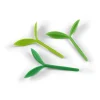 Bookmarks^Fred SPROUT | Little Green Bookmarks