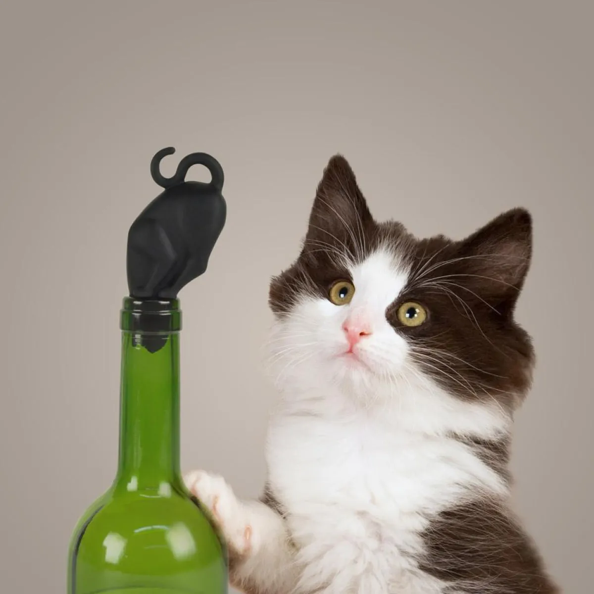 Bottler Stoppers & Openers^Fred STOP KITTY