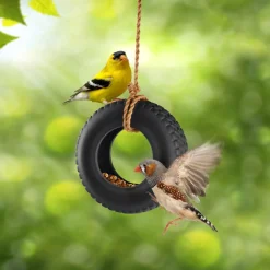 Garden^Fred SWING TIME