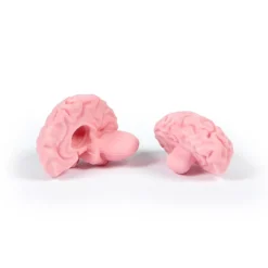 Erasers + Shapeners^Fred THINK AGAIN | Brain Eraser in Apothecary Jar